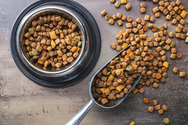 pet food