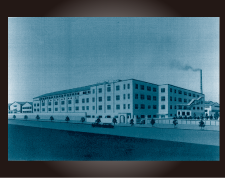 in 1931