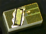 1.3 µm SOA（チップキャリアタイプ） AA3T115CY