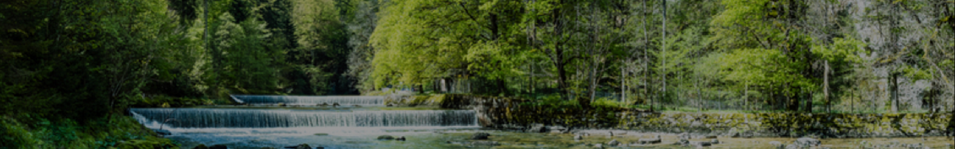 Environment