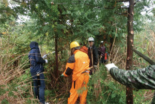 Mt. Fuji Afforestation Activities