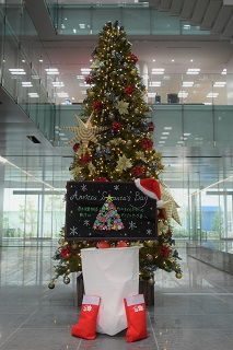 The Anritsu Santa Bag
