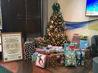 Make a Wish Come True Holiday Toy Drive