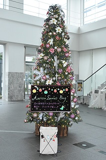 The Anritsu Santa Bag