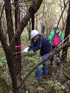 Mt. Fuji Green Fund Afforestation Campaign