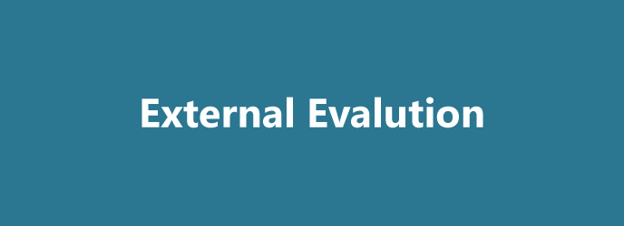 External Evaluation
