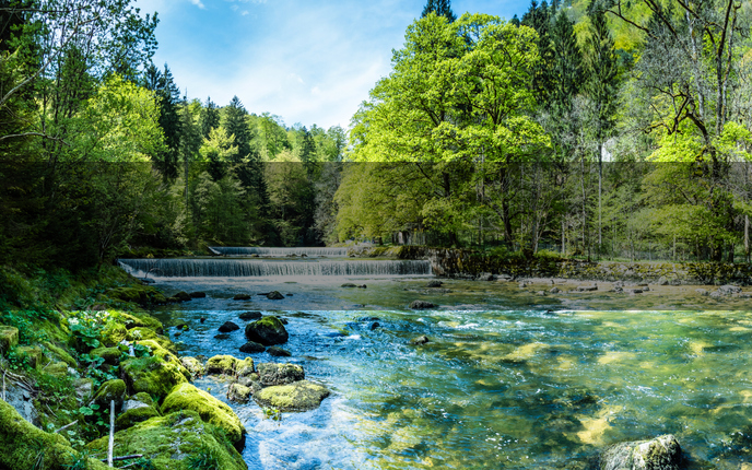 Environment