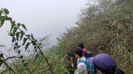 2024年10月26日 丹沢植樹活動(森の再生を検証する山歩き)