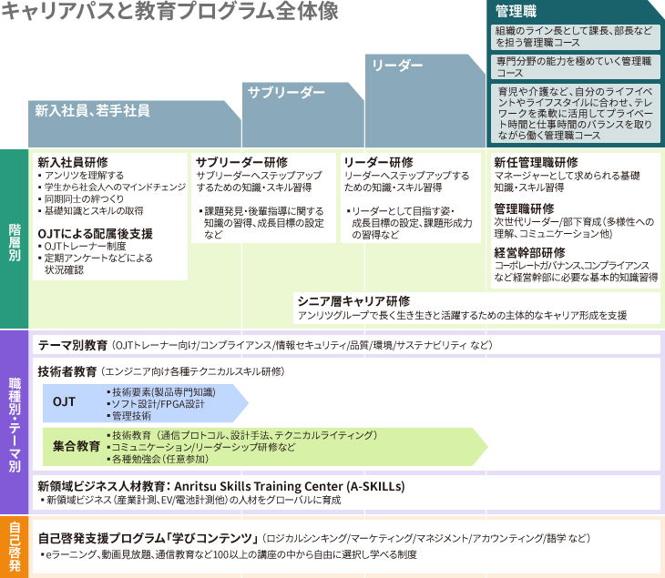 キャリアパスと教育プログラム全体像