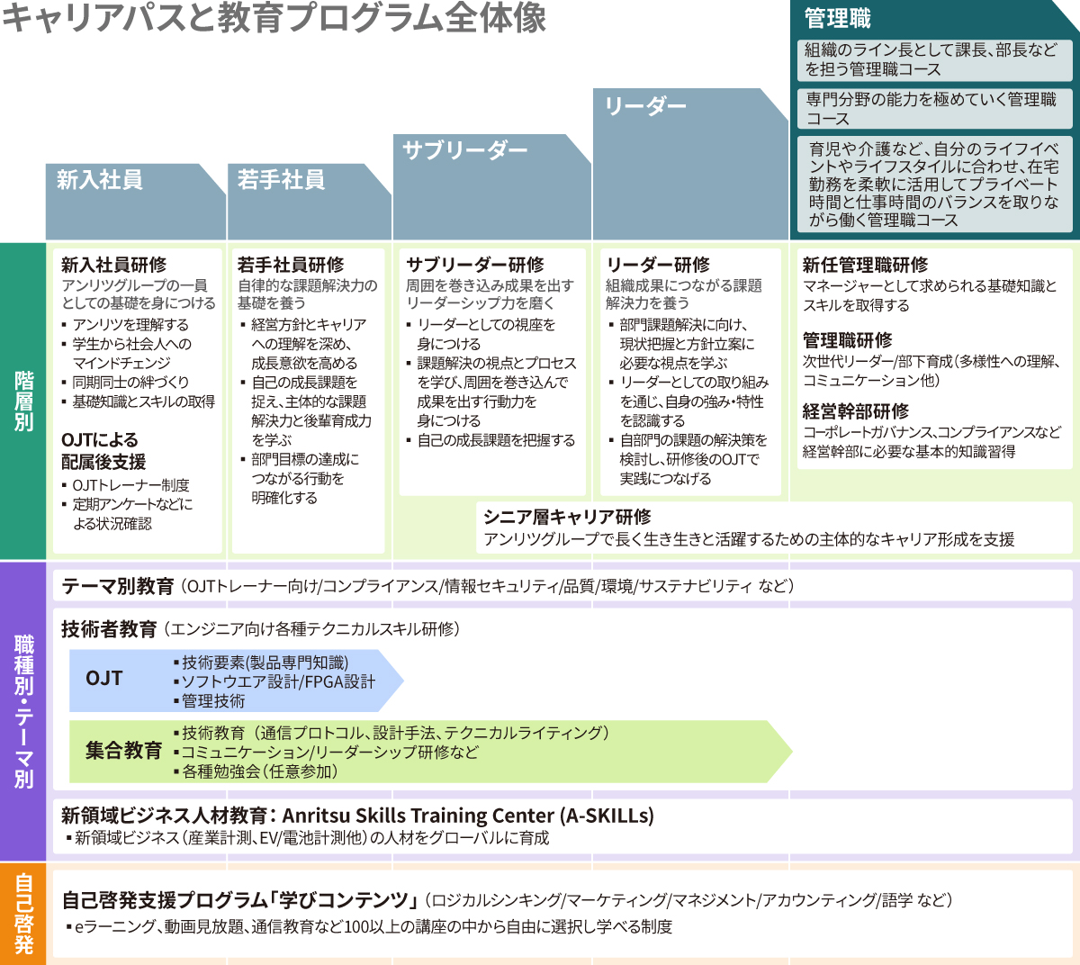 キャリアパスと教育プログラム全体像