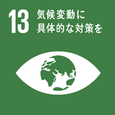 20210928-sdgs-icon-13