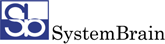 systembrain2