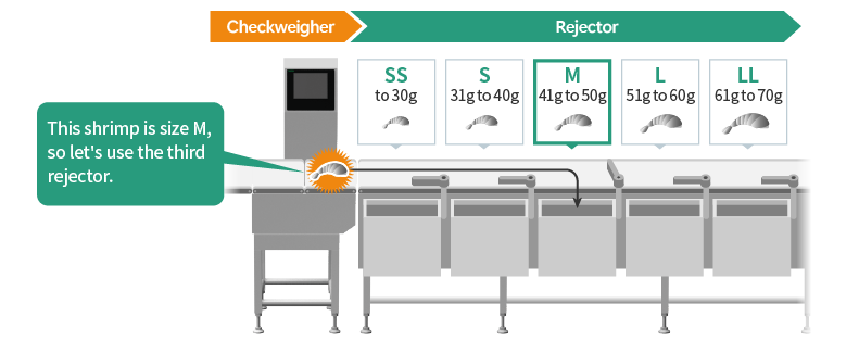 Checkweigher & Multi-Stage Rejector