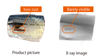 Fig.3.2: Iron rust being inspected by X-ray