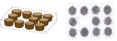 An application example of Count Check
