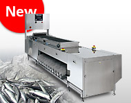 鮮魚用オートチェッカ（新製品）