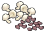 Mushroom, Raisin