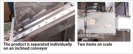 Fig. 2-1: Inspection by a Checkweigher