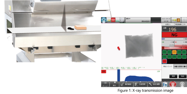 Figure 1: X-ray transmission image