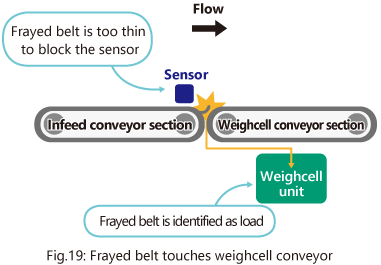 Fig.19: Frayed belt touches weighcell conveyor