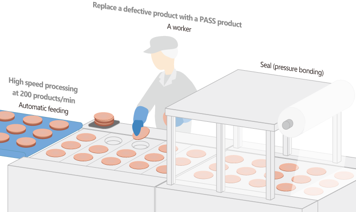Visual inspection by workers