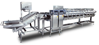 Image of grading Checkweigher