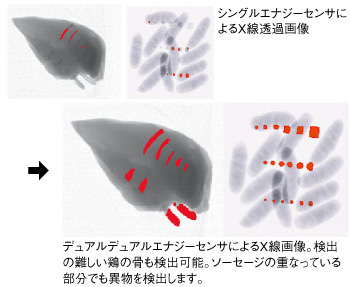 デュアルエナジーセンサによるX線画像