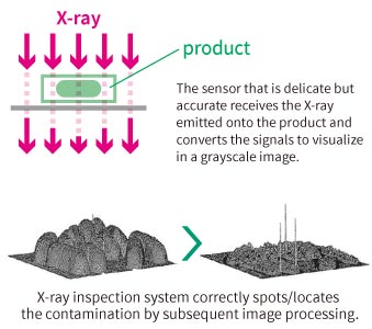 X-ray inspection system correctly spots/locates
the contamination by subsequent image processing.
