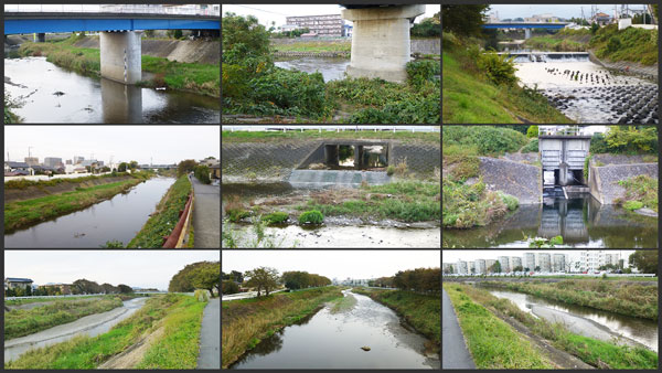 HD映像9画面を同時に表示