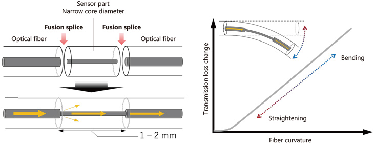 Figure 5: Principle of hetero-core fiber optic sensor