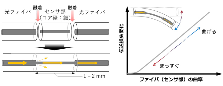 図5 ヘテロコア光ファイバセンサの原理