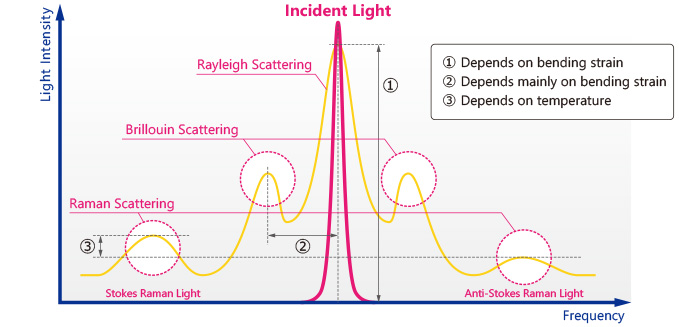 Figure 1: Backscattered Light