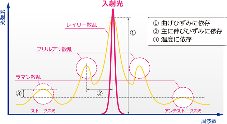 図1.後方散乱光