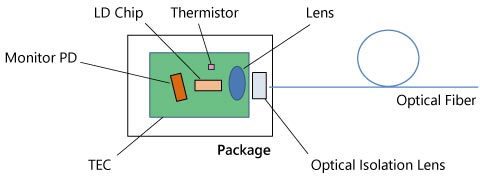 Internal Structure of Butterfly Module