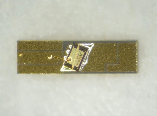 1.31 μm 半導体光増幅器 (SOA: Semiconductor Optical Amplifier [*2]) AA3TB10EY