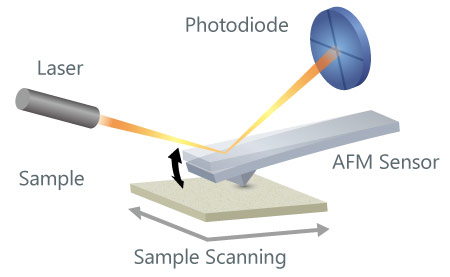 Atomic Force Microscope Sensor
