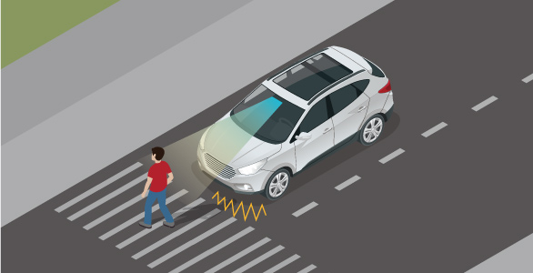 Pedestrian Collision Avoidance Braking