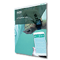 White Paper IoMT Healthcare Trends