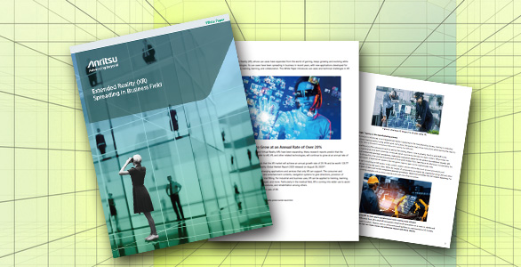 White paper extended reality (XR) spreading in business field