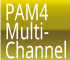 PAM4 Multi- Channel