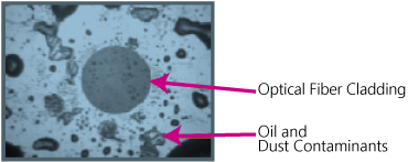 Contaminated Optical Fiber End Face