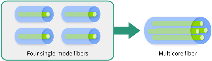 Four fibers integrated into one