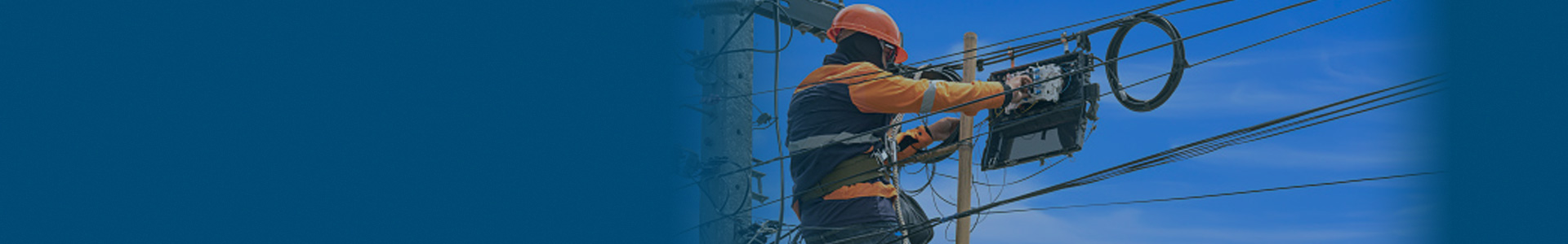 Passive Optical Network, PON