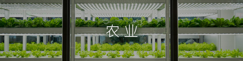 通过网络监测农作物、温度、湿度、日长、温度和空气质量