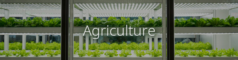 Monitoring crops, temperature, humidity, day length, temperature, and air quality over network