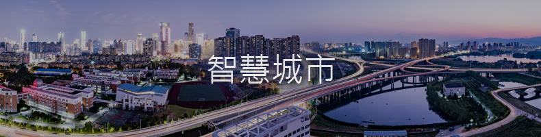 具有安全保障应用、机器人交付、交通流管理和物联网传感器的智能城市