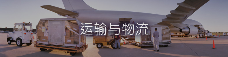 利用自动卡车、自动导引车 (AGV) 和实时物品跟踪进行运输和物流