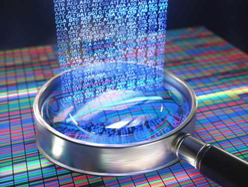 RF and protocol testing