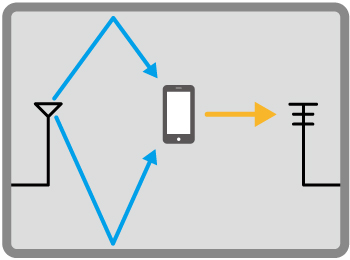 Multi-Path