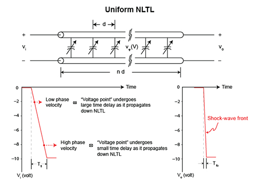 Shockline Nonlinear Transmission Line